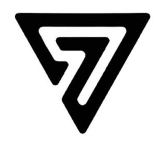 GSI logo